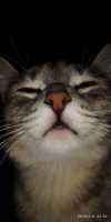Boop หาเพื่อนไลน์จังหวัดกทม